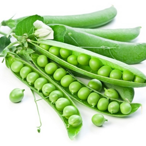 Best Fresh Green Peas For Sales