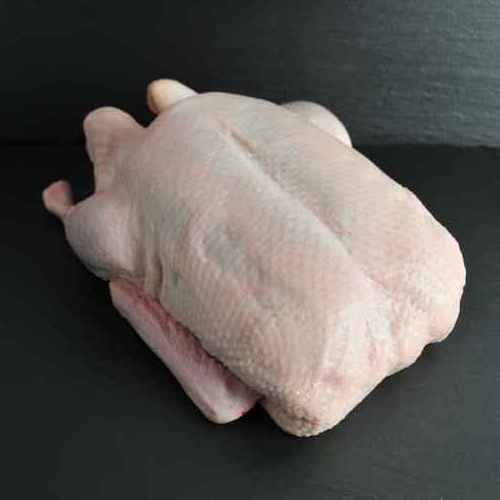 Wholesale Frozen Duck Meat & Duck Parts