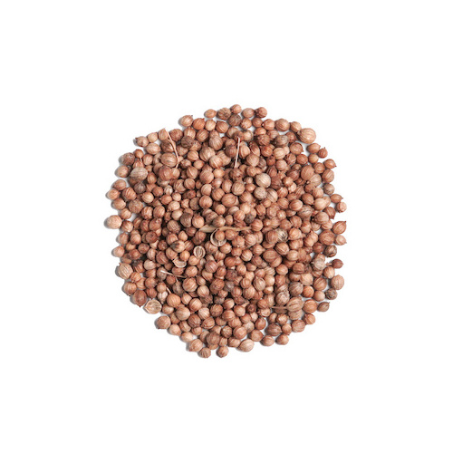 Premium Quality Spices & Herbs Natural Coriander Seeds