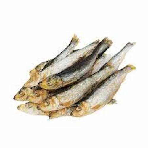 Highly Nutritious fat delicious herring fish smoked herring fish for sale