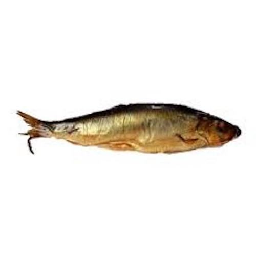 Highly Nutritious fat delicious herring fish smoked herring fish for sale