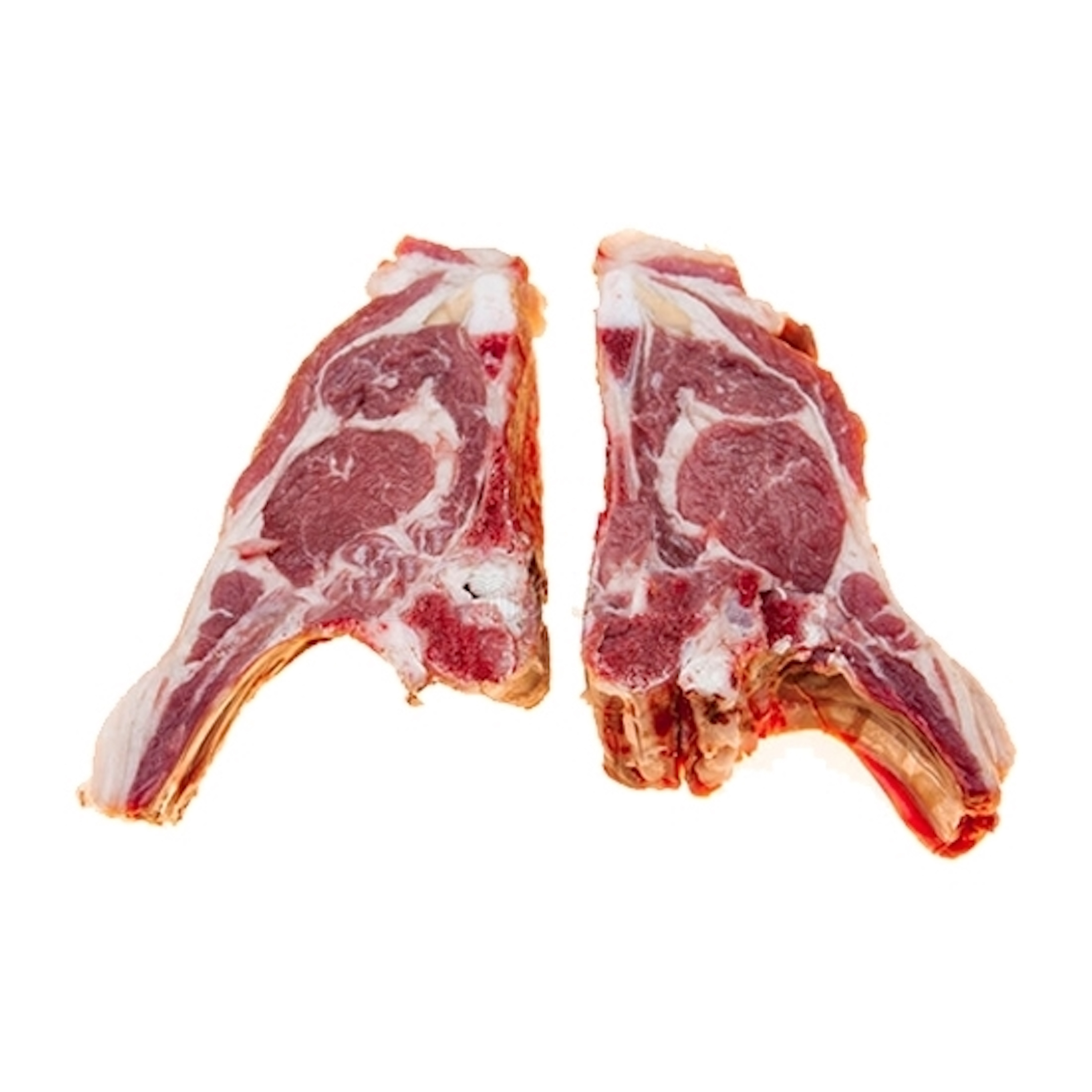 Wholesale Frozen Halal Camel Meat Supplier