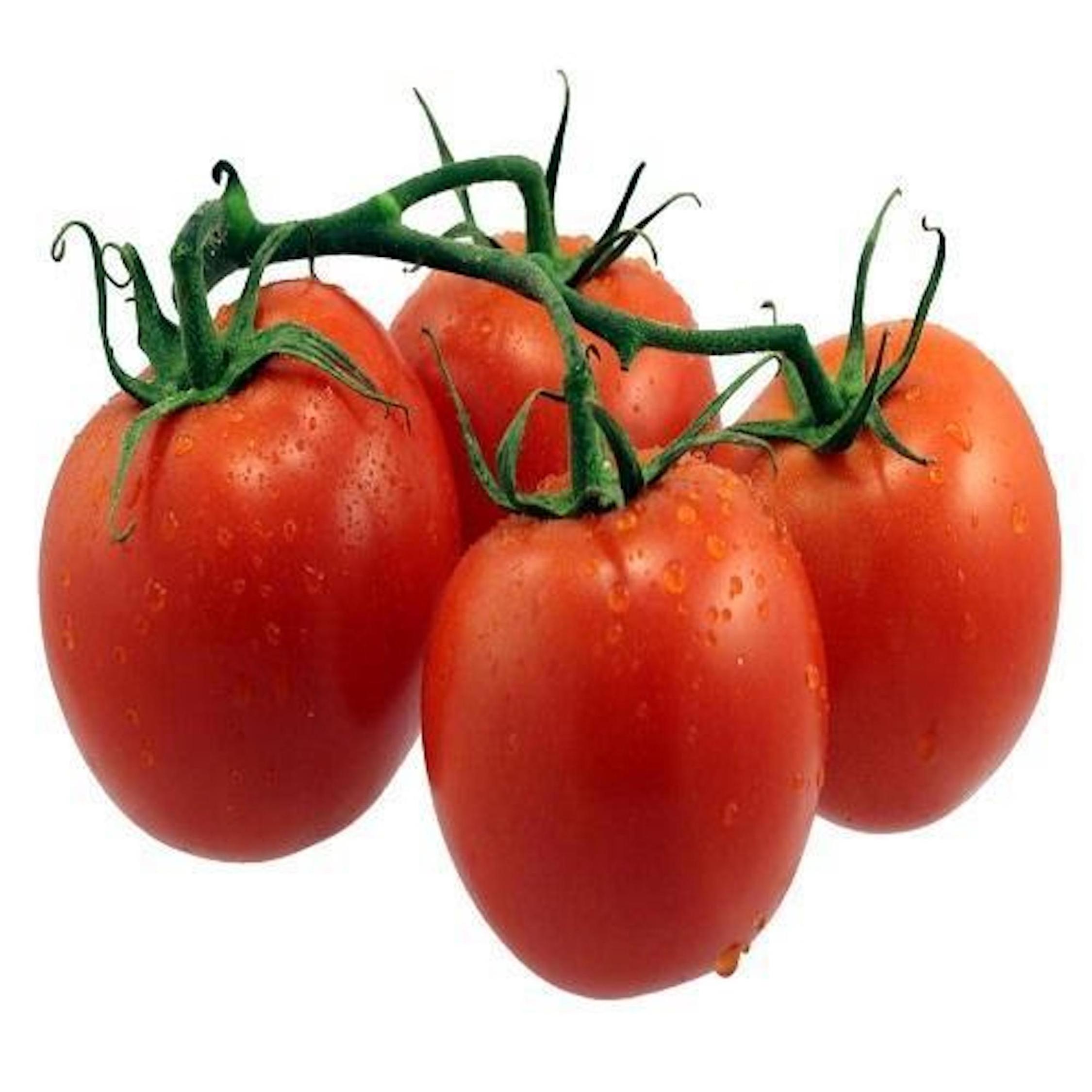 FOR SALES FRESH RED TOMATOES BEST PRICE