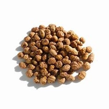 Buy Sweet and Natural Tiger Nuts at Wholesale