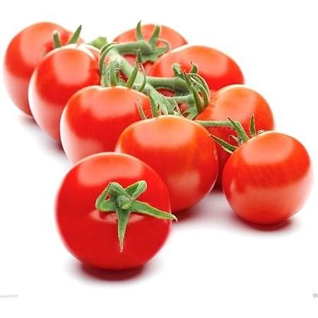 Hot sales Fresh tomato Wholesale for tomato paste / ketchup tomato - Organic tomato can / tomato powder at cheap price