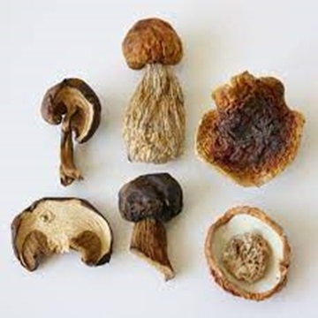 Dried  Mushrooms available at Wholesale