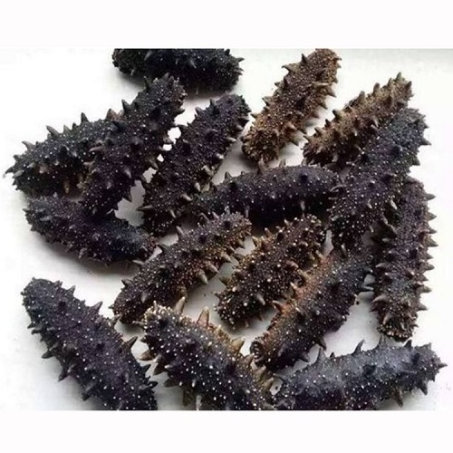 Factory  price super Quality Dried Sea Cucumber high quality delicious sea cucumber dried for sale, Sea Cucumber bags