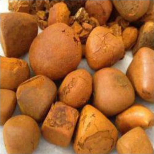 Wholesale price  Natural and Pure top Quality Ox Gallstones Cattle Gallstones Cow Gallstones Buy Cow Gall Stones for sale