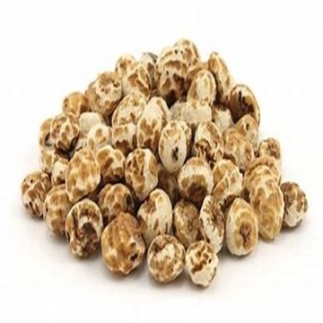 Buy Sweet and Natural Tiger Nuts at Wholesale