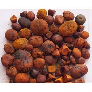 Wholesale price  Natural and Pure top Quality Ox Gallstones Cattle Gallstones Cow Gallstones Buy Cow Gall Stones for sale