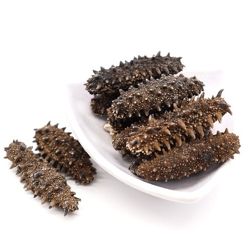 Factory  price super Quality Dried Sea Cucumber high quality delicious sea cucumber dried for sale, Sea Cucumber bags