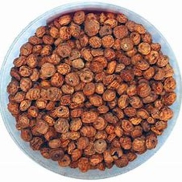 Nutritive and Healthy Tiger Nuts at Wholesale