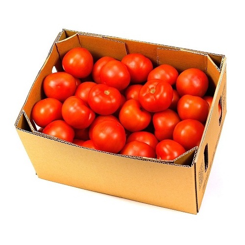 Fresh Tomato with Natural red / Best quality for wholesale / Quick response and cheap price available