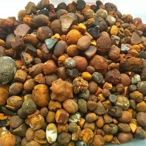 Wholesale price  Natural and Pure top Quality Ox Gallstones Cattle Gallstones Cow Gallstones Buy Cow Gall Stones for sale