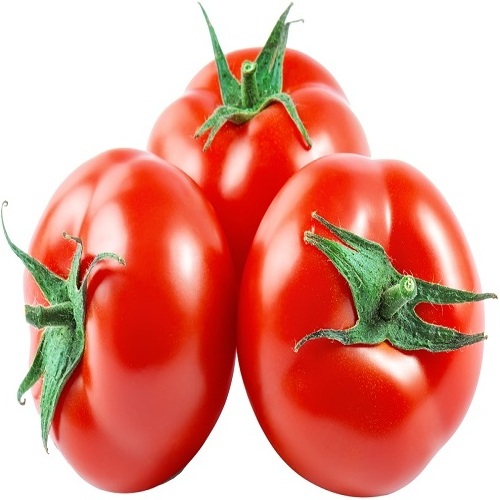 Fresh Tomato with Natural red / Best quality for wholesale / Quick response and cheap price available