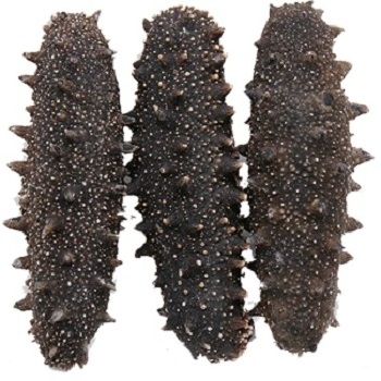 Factory  price super Quality Dried Sea Cucumber high quality delicious sea cucumber dried for sale, Sea Cucumber bags