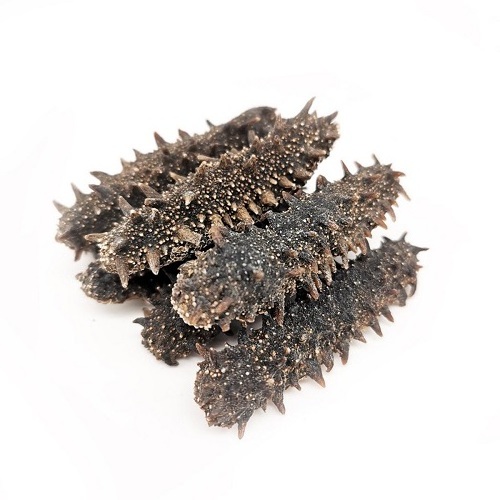 Factory  price super Quality Dried Sea Cucumber high quality delicious sea cucumber dried for sale, Sea Cucumber bags