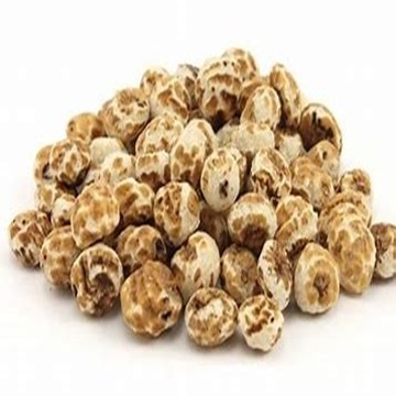 Nutritive and Healthy Tiger Nuts at Wholesale