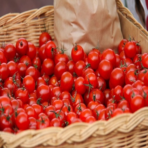 Fresh Tomato with Natural red / Best quality for wholesale / Quick response and cheap price available