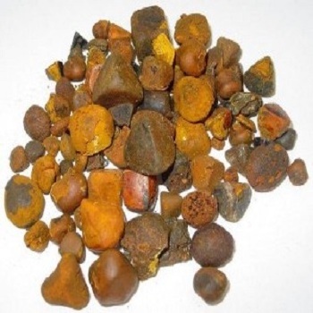 Wholesale price  Natural and Pure top Quality Ox Gallstones Cattle Gallstones Cow Gallstones Buy Cow Gall Stones for sale