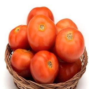 Hot sales Fresh tomato Wholesale for tomato paste / ketchup tomato - Organic tomato can / tomato powder at cheap price