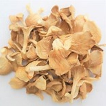 Dried  Mushrooms available at Wholesale