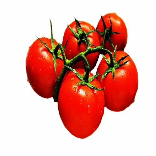 Hot sales Fresh tomato Wholesale for tomato paste / ketchup tomato - Organic tomato can / tomato powder at cheap price