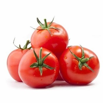 Hot sales Fresh tomato Wholesale for tomato paste / ketchup tomato - Organic tomato can / tomato powder at cheap price