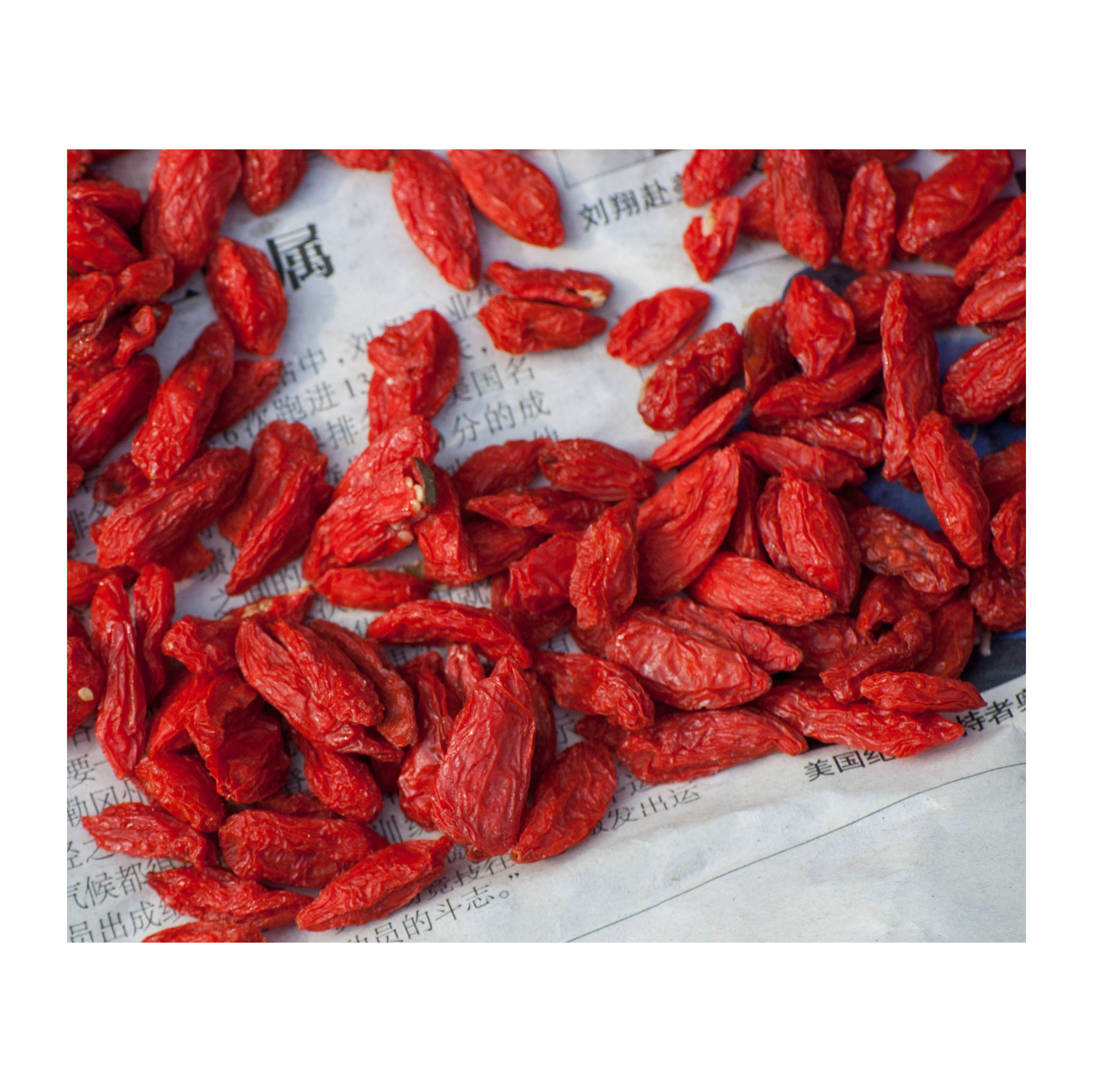 Spices and Herbs Dried Lycium Dried Goji Berries Natural Fructus Lycii Dried Chinese Red Wolfberry Dried Wolfberry for Drinking