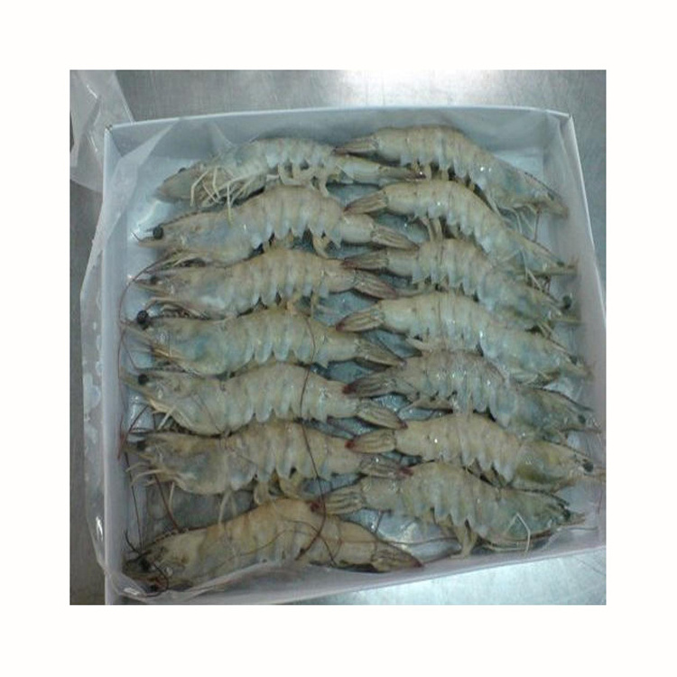 frozen Vannamei Shrimps/frozen Prawns Raw Frozen Surimi Shrimp