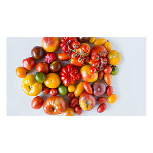 Fresh tomatoes Fast Shipping high Quality tomato from Turkey