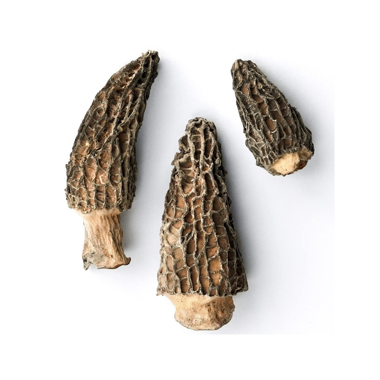 Mushrooms For Sale Dried Morels Price Dried Morel Mushrooms