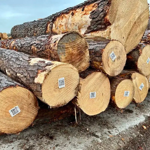 radiata pine wood logs