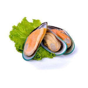 Top Quality Frozen Shellfish Mussels / Frozen Mussel Meat With Shell (Seafood) For Sale At Best Price