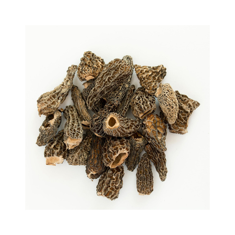 Mushrooms For Sale Dried Morels Price Dried Morel Mushrooms