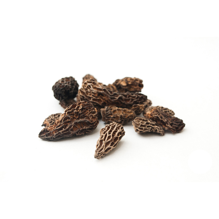 Mushrooms For Sale Dried Morels Price Dried Morel Mushrooms