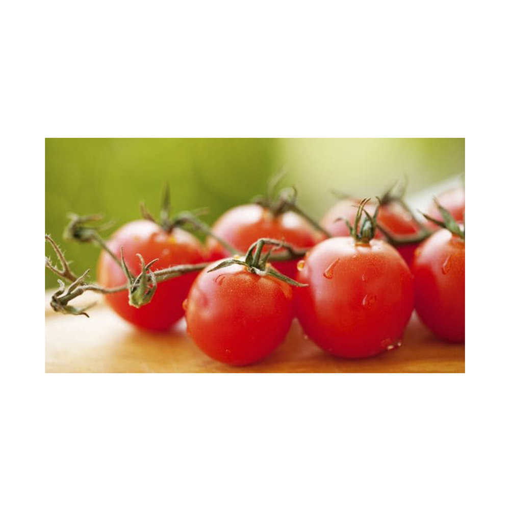 Fresh tomatoes Fast Shipping high Quality tomato from Turkey