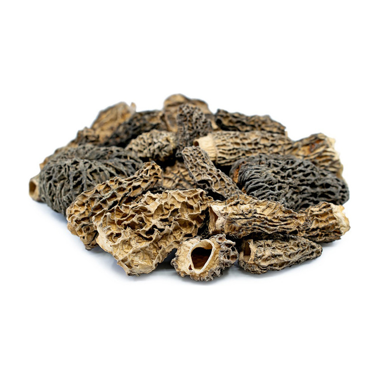 Mushrooms For Sale Dried Morels Price Dried Morel Mushrooms