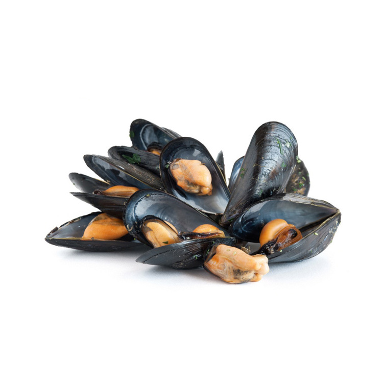 Top Quality Frozen Shellfish Mussels / Frozen Mussel Meat With Shell (Seafood) For Sale At Best Price