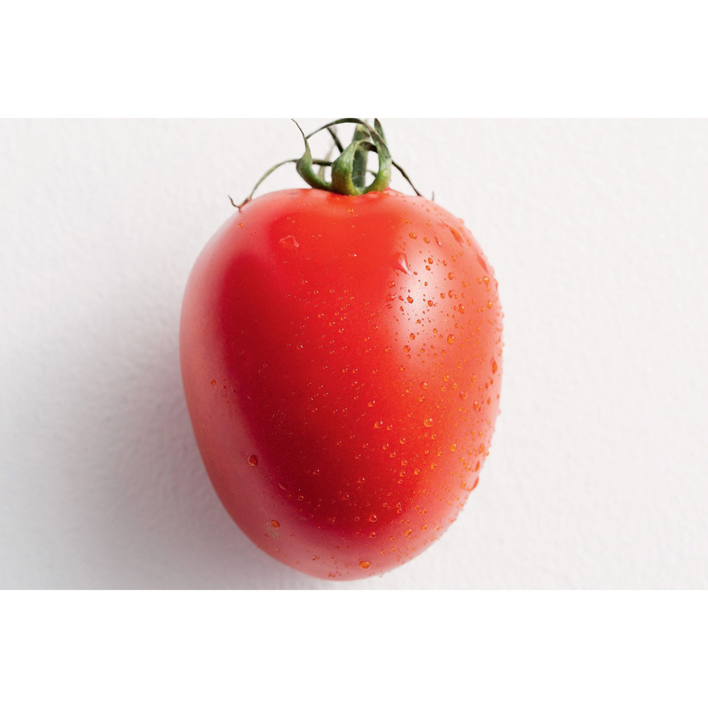 Fresh tomatoes Fast Shipping high Quality tomato from Turkey