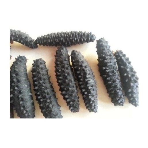 Wholesale Dealer Of Cheapest Price Dry Dried Sea Cucumber - DRIED and Frozen SEAFOOD