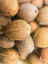 High Quality Fresh Dehusked Coconuts / fresh coconuts(larger size)