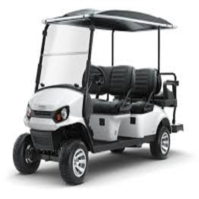 OFF Road 2 person electric golf cart for sale , utility golf 48V battery available in blue and black for sale