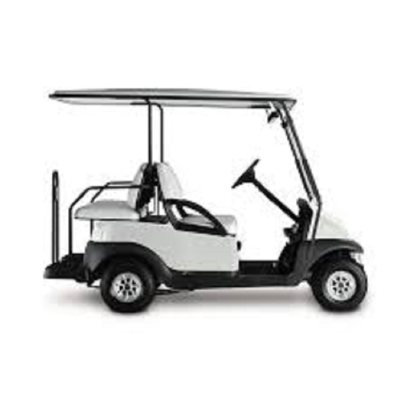 OFF Road 2 person electric golf cart for sale , utility golf 48V battery available in blue and black for sale