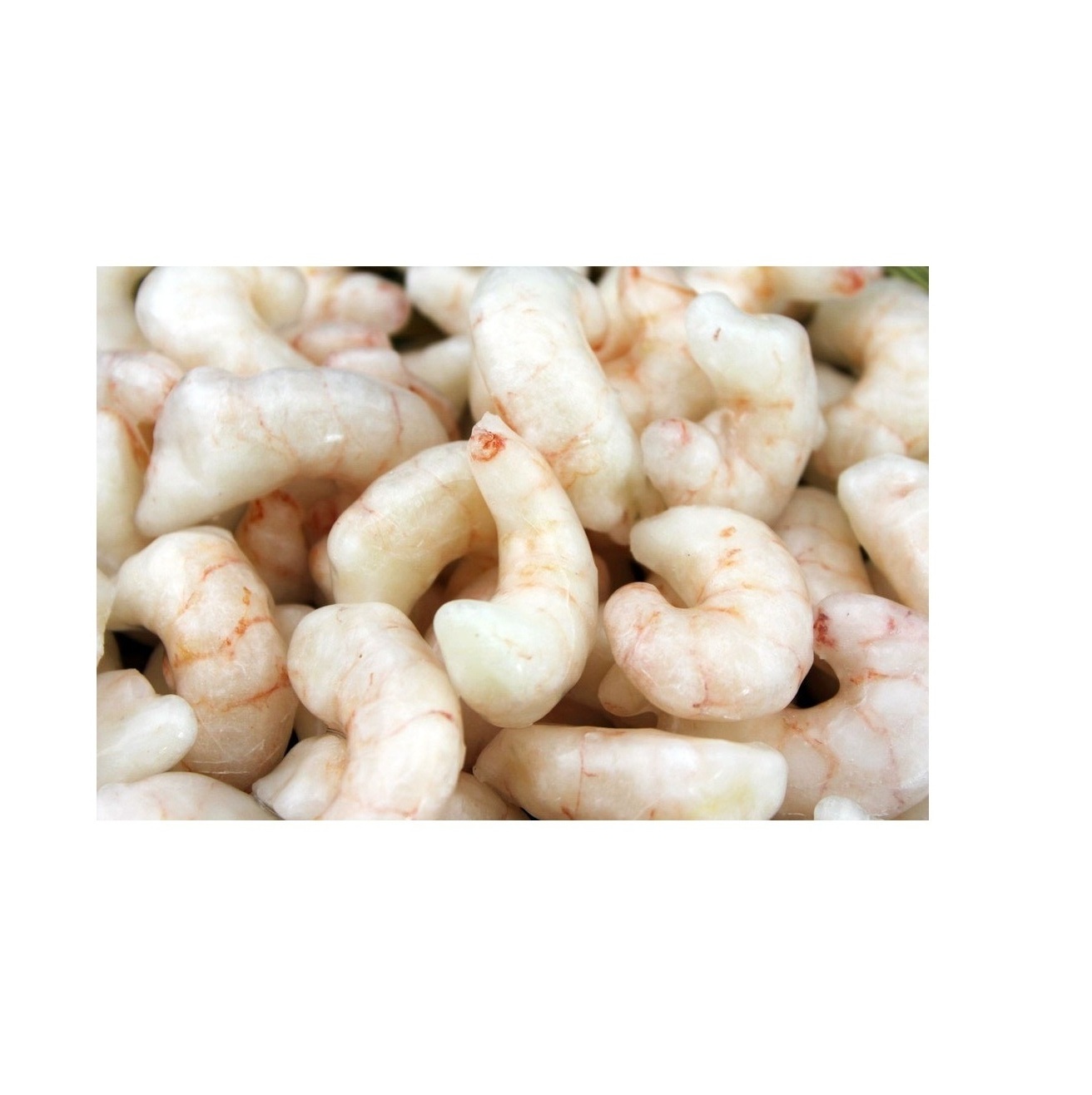 Buy Original Quality Frozen Red Shrimps At Cheapest Price