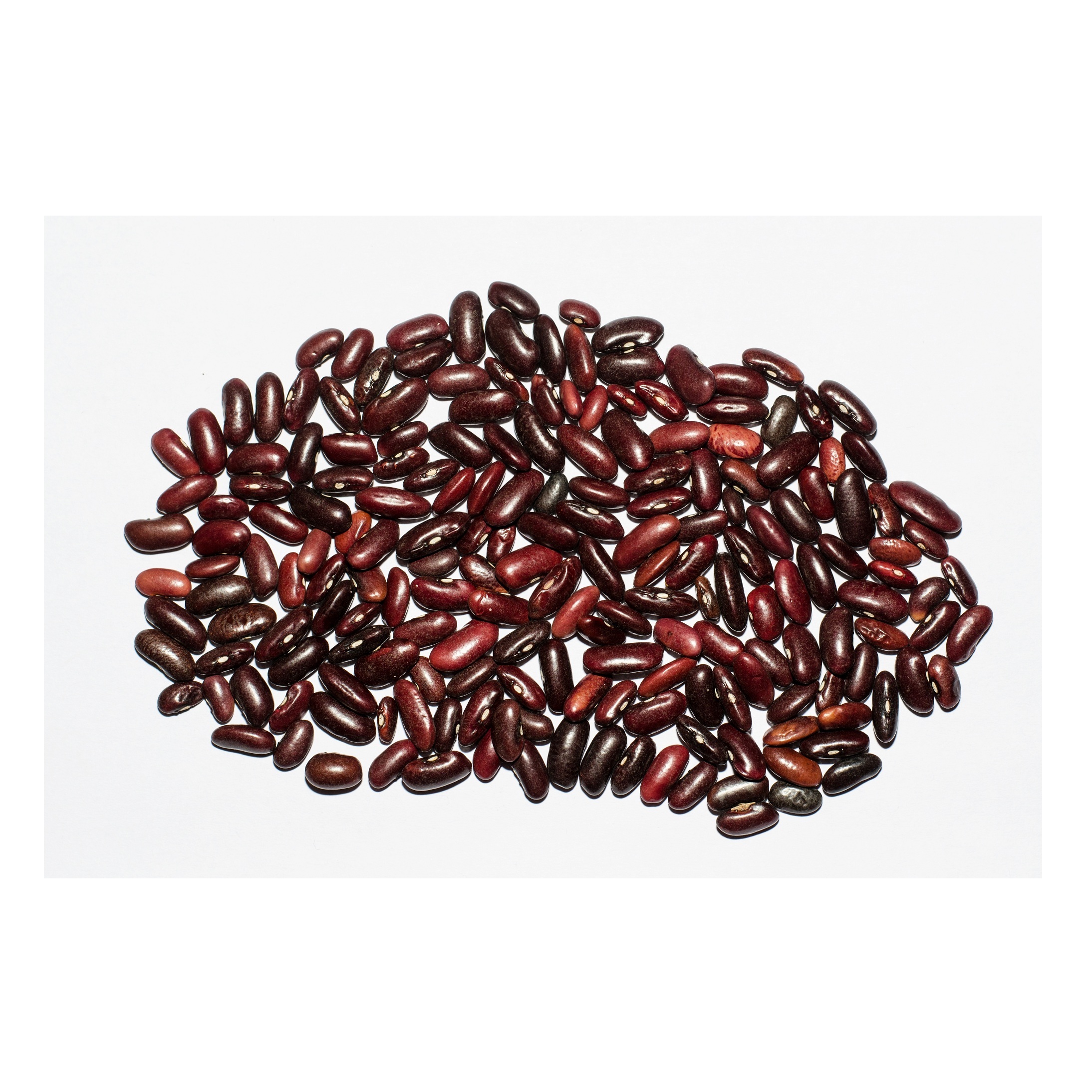 Red Kidney Beans Organic Dried Small Dark Red Kidney Beans Buyer (Rajma)