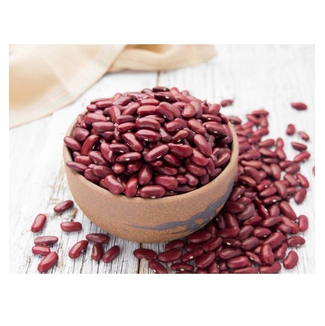 Red Kidney Beans Organic Dried Small Dark Red Kidney Beans Buyer (Rajma)