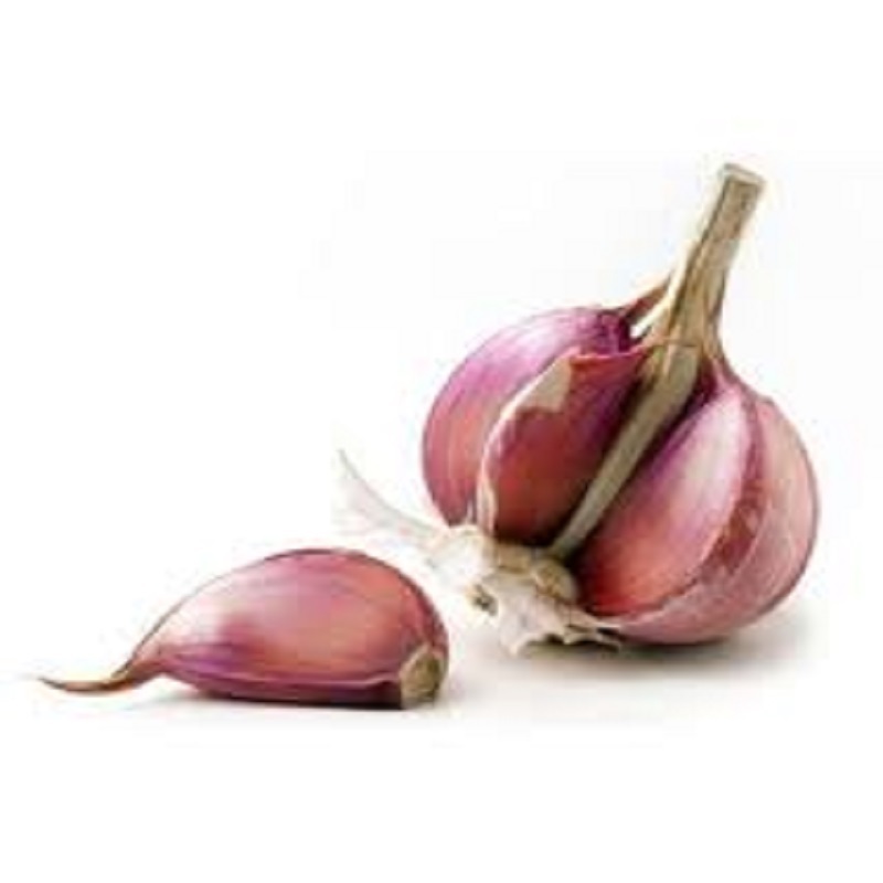 Garlic packing bags/red price/fresh purple/supplier peeled garlic