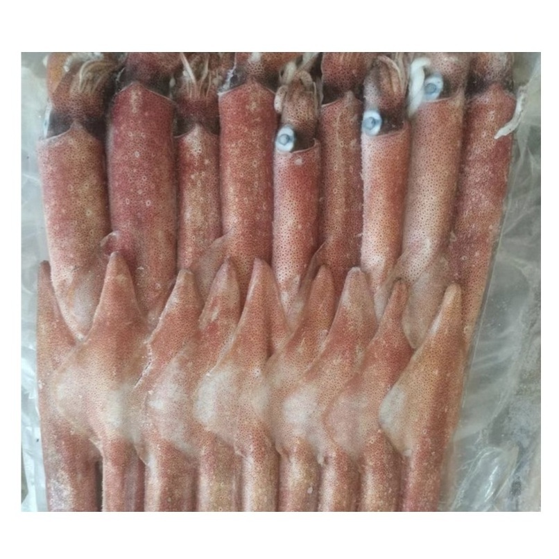 Best Quality Hot Sale Price Frozen Whole Loligo Squid (Seafood) From Norway