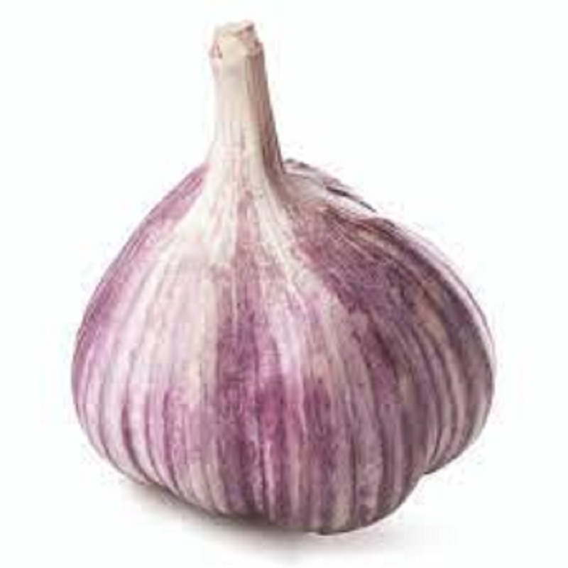 Garlic packing bags/red price/fresh purple/supplier peeled garlic